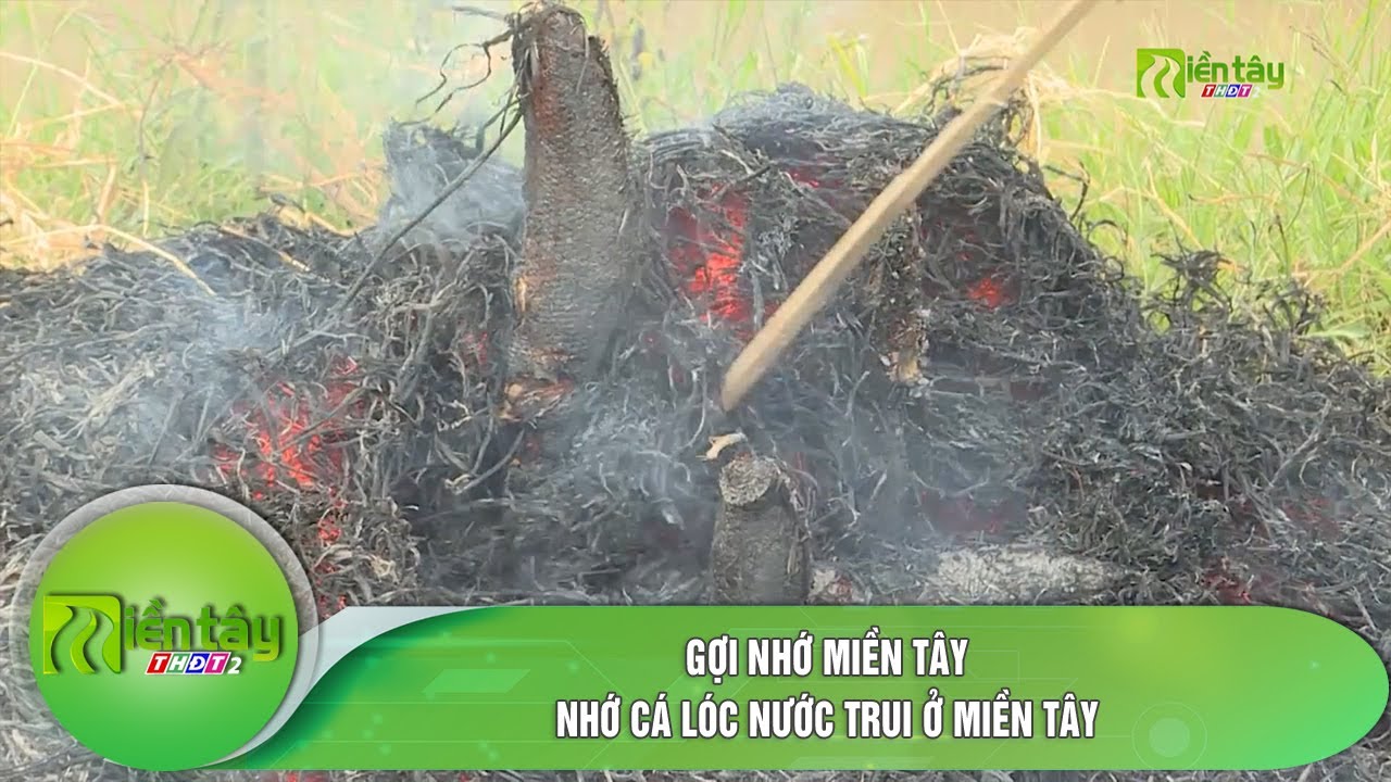 Gợi nhớ miền Tây: Nhớ cá lóc nướng trui ở miền Tây