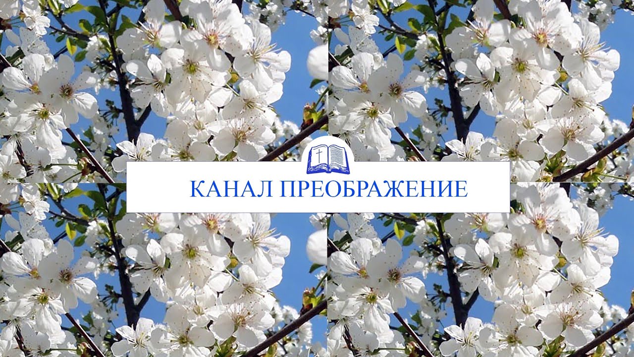 Служение 25.01.2025