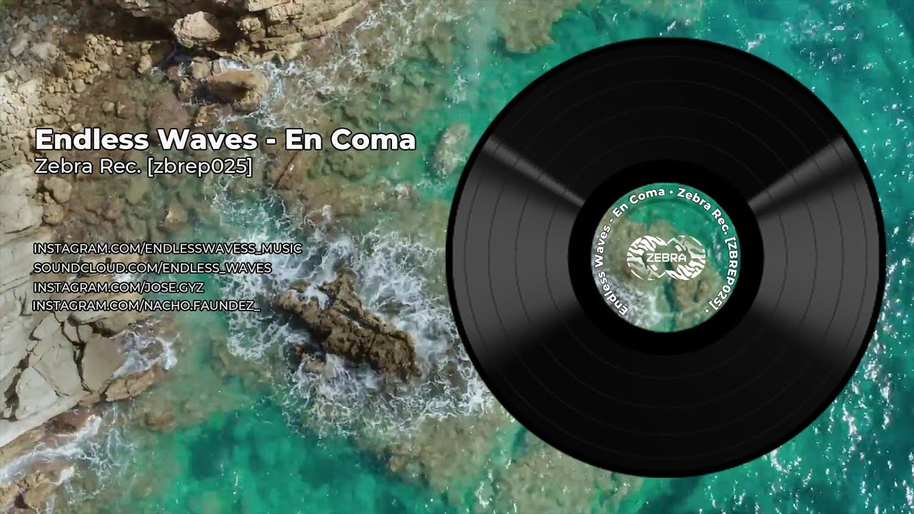 Endless Waves - Bay Missions &bull; Zebra Rec. [ZBREP025] &bull; 2021
