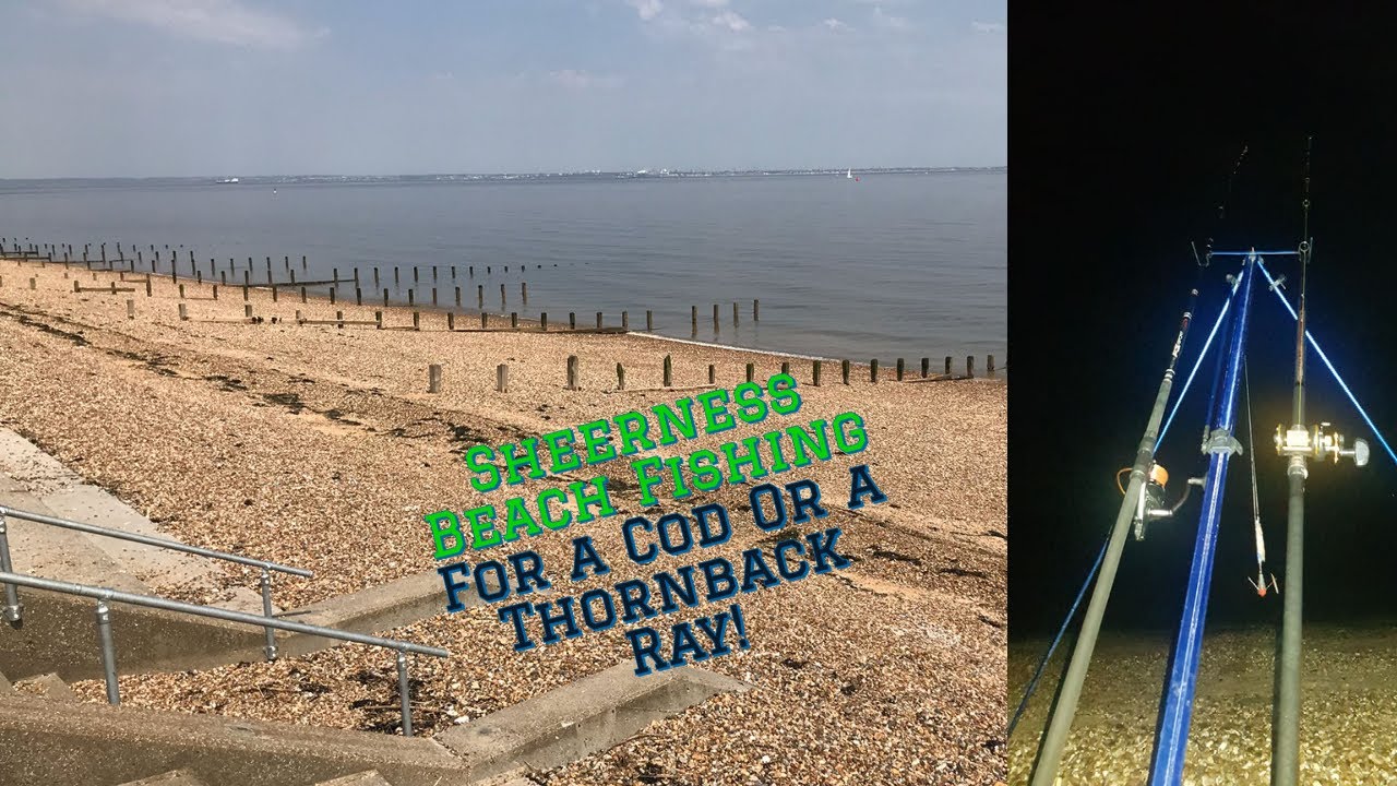 SHEERNESS BEACH- SEA FISHING UK FISHING FOR A COD OR A THORNBACK RAY// (WHITING FEST)