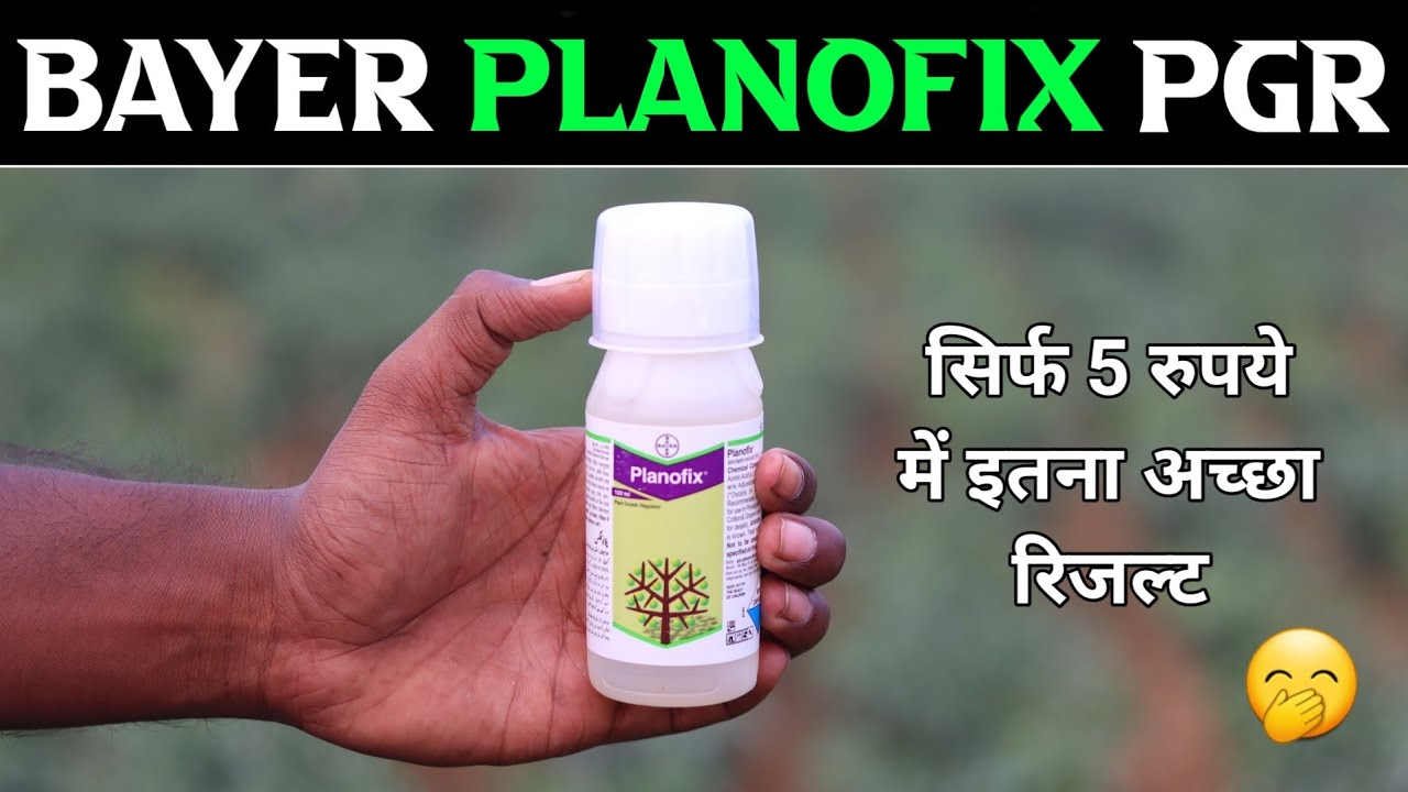Bayer Planofix use in hindi || Planofix plant growth regulator