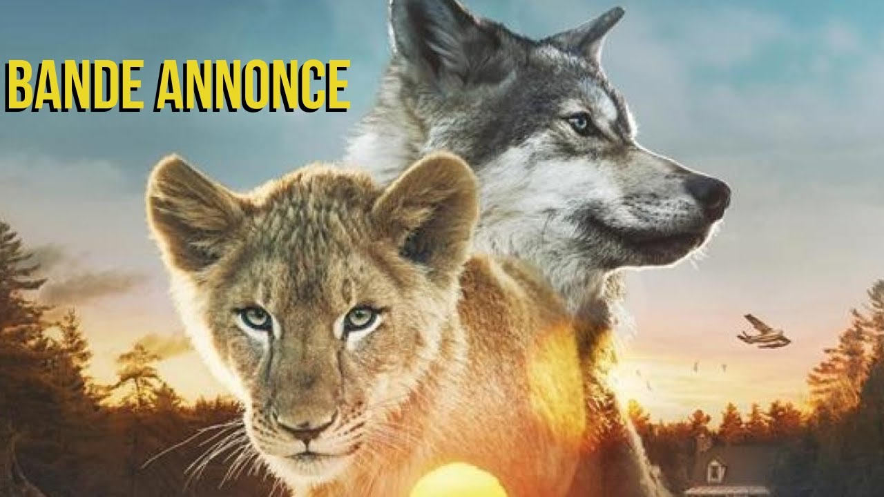 LE LOUP ET LE LION - Bande Annonce (VF) 2021 - [Trailers Channel]