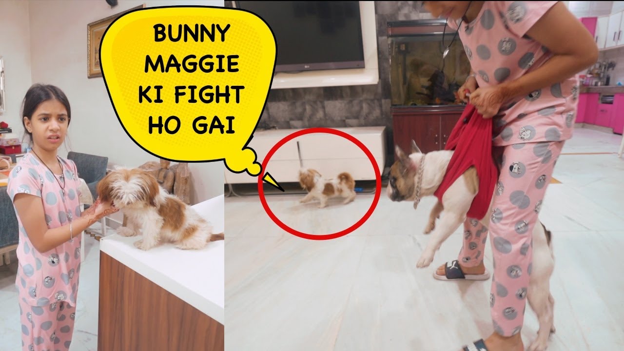Bunny and Maggie Ki Fight Ho Gai 😃