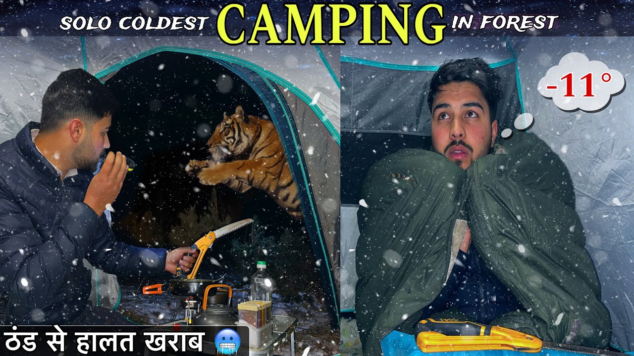 Coldest Winter Night Camping In Deep Jungle | Solo Snow Camping In India | Camping Trip | #snow