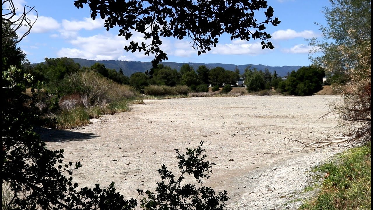 Valley Water's Percolation Ponds
