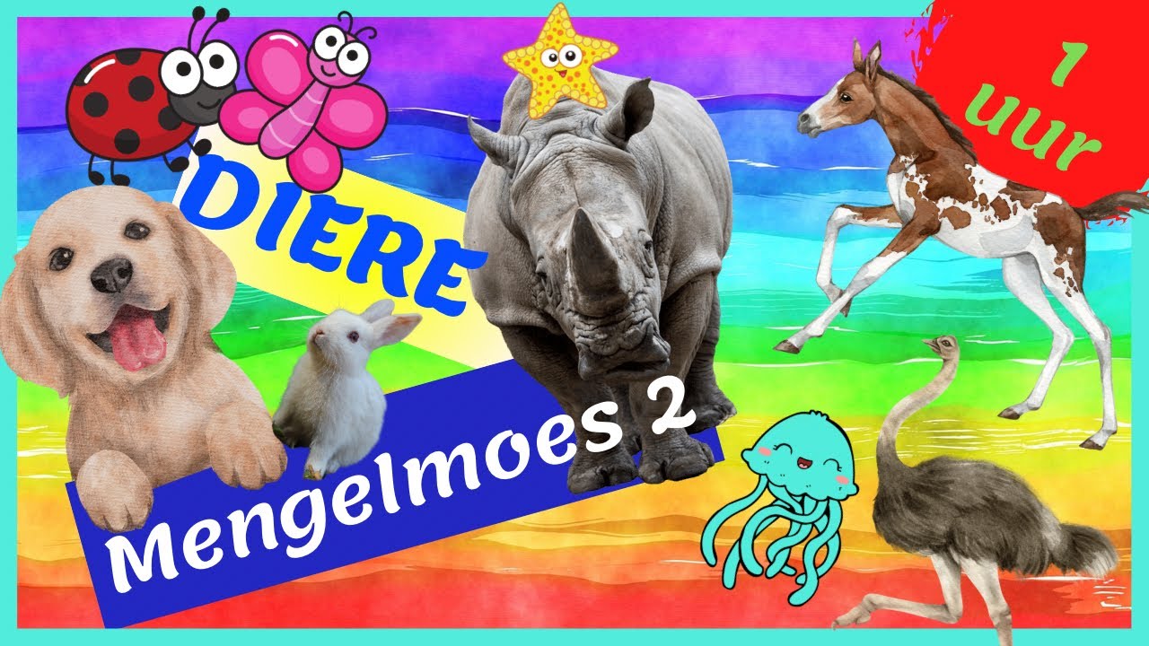 Mengelmoes van Diere | 1 Uur Lang Opvoedkundige Dierevideo in Afrikaans