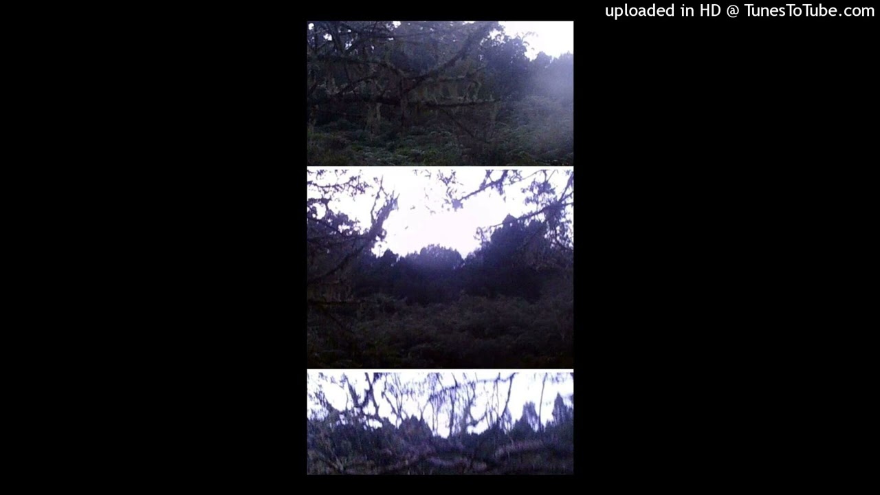 (free) nine vicious type beat "circles" (15hundrd + luvxomea)