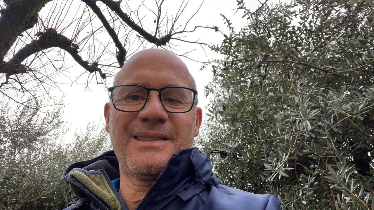 Potatura Rose a Cespuglio