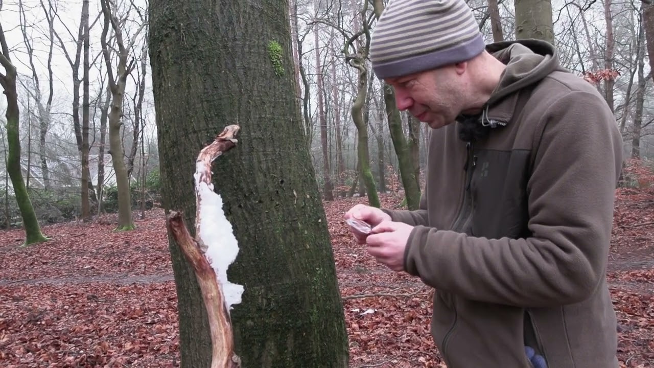 IJshaar, een bijzonder natuurverschijnsel