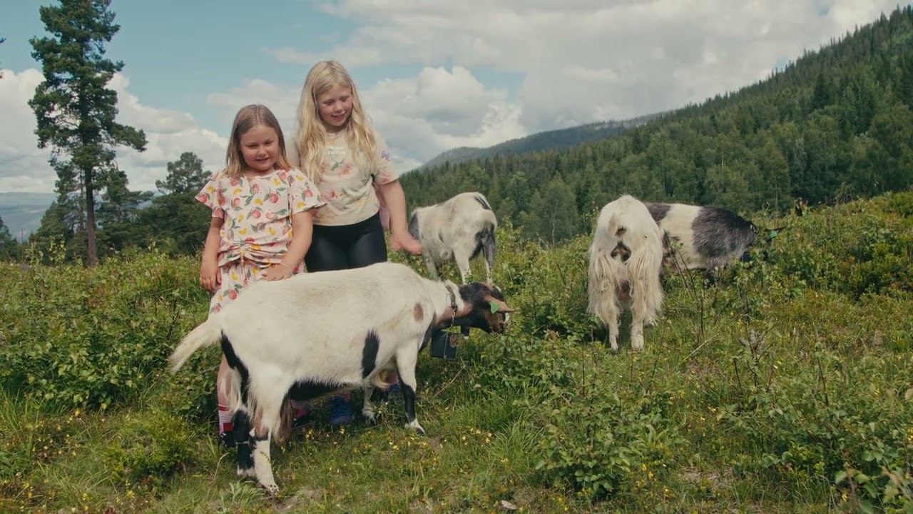 Gardbergfeltet i Vestre Slidre