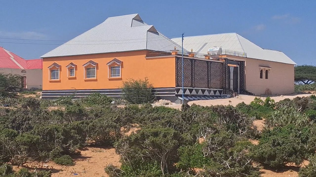 HAL BOS OO AH GELI GACANTA ONA KUYALO XAFADA ALXAYAD EE SINKA DHER