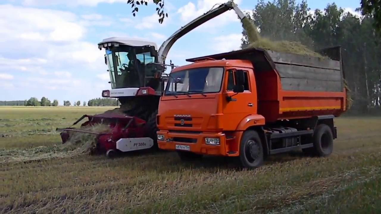 Доны на заготовке сенажа