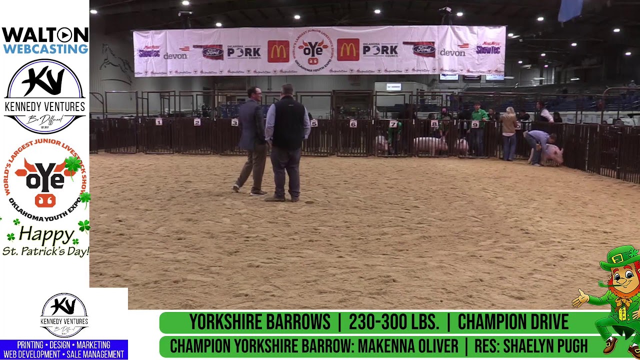 Market Barrow Show - Mar-17