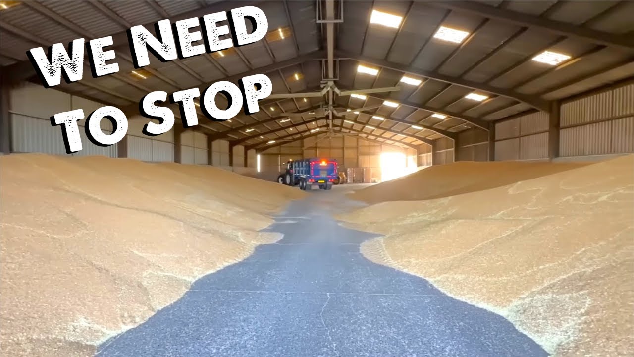 Grain Capacity Full | We Cant Keep Up 