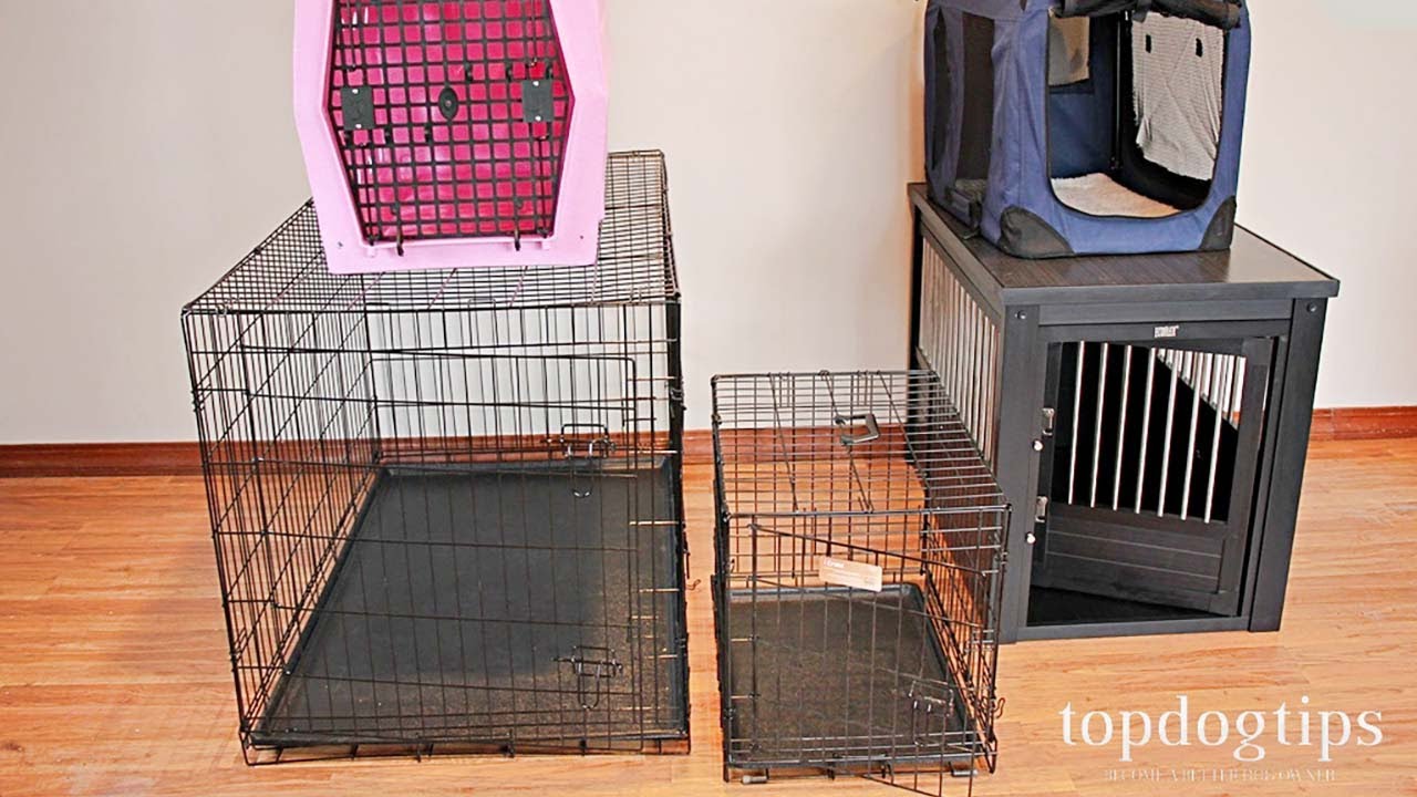 The Best Dog Crate Comparison and Testing