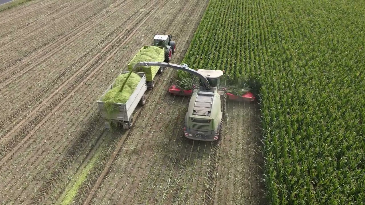 Maisernte in Langversion inkl. Silo anlegen Teil 1 von 2
