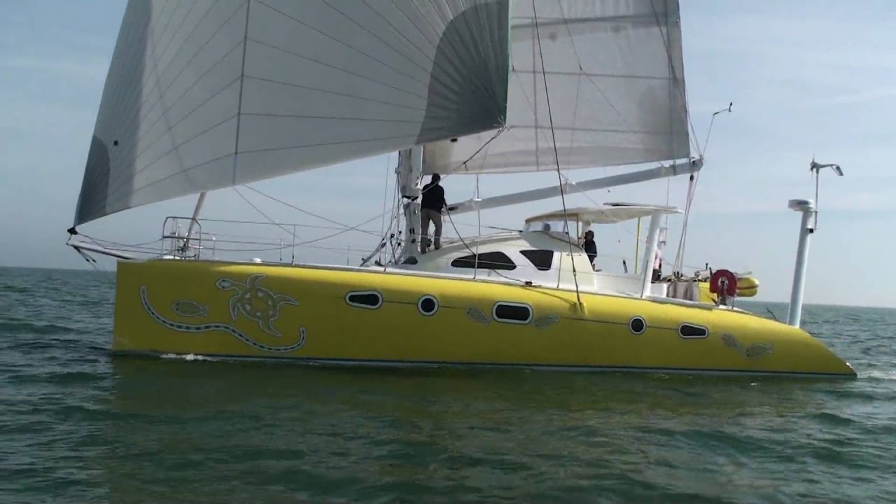 barramundi 50
