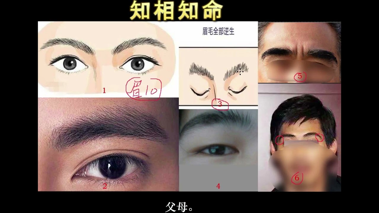 面相之眉相系列之十，眉头杂乱，眉毛倒生逆生，眉毛下垂的含义