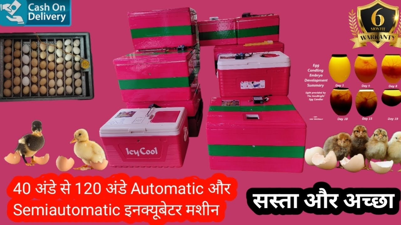 40 Eggs To 120 Eggs Incubators | Low Price | High Quality | Home Delivery