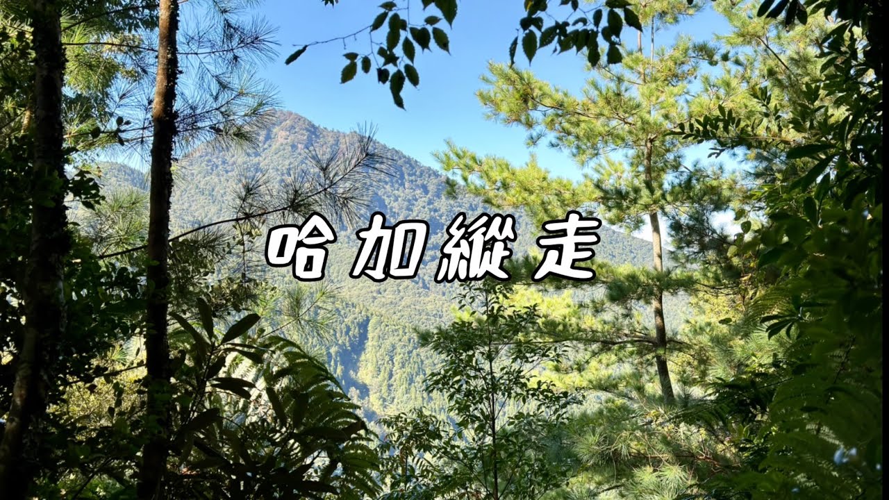 《小百岳》哈加縱走🧗‍♀️哈勘尼山⛰️加里山⛰️摸黑魔咒❗️❓