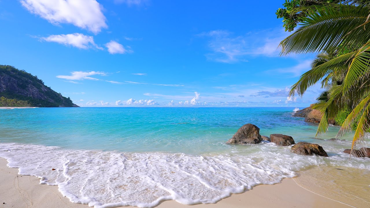Seychelles 4K 🏝 Ocean sounds for sleep and study.
