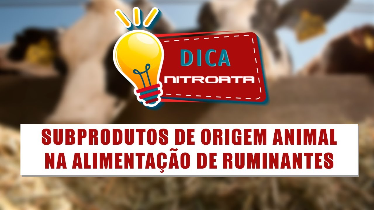 Subprodutos de origem animal na alimenta&ccedil;&atilde;o de ruminantes