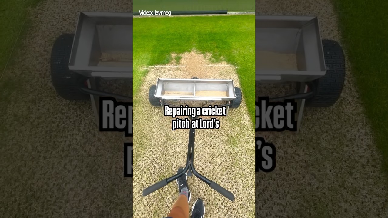 This is how the cricket pitch at Lord&rsquo;s Cricket Stadium gets repaired
