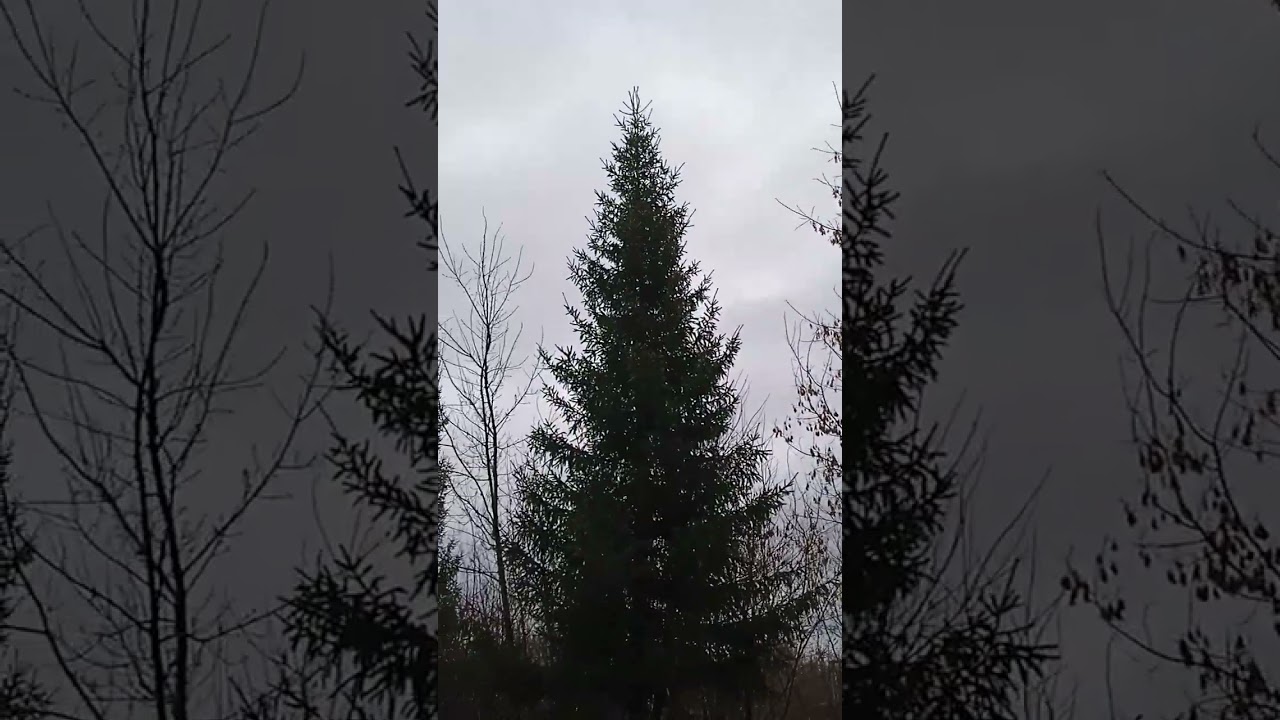 Единение со своей душой!