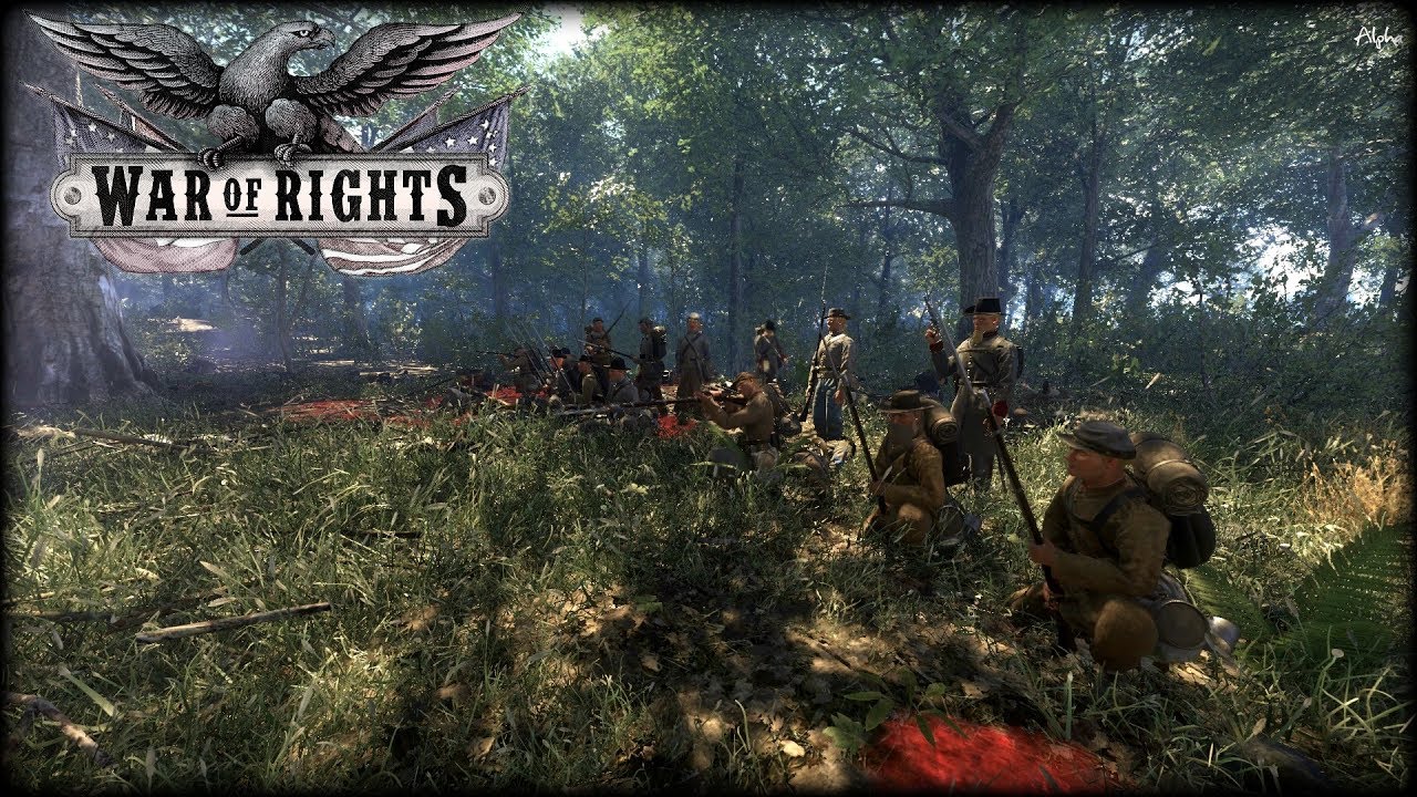 War of Rights  - Skirmish in West Woods