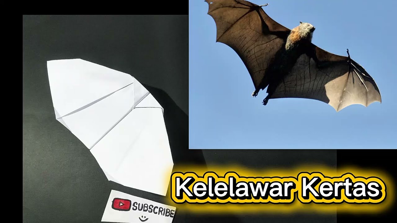 Membuat KELELAWAR dari kertas