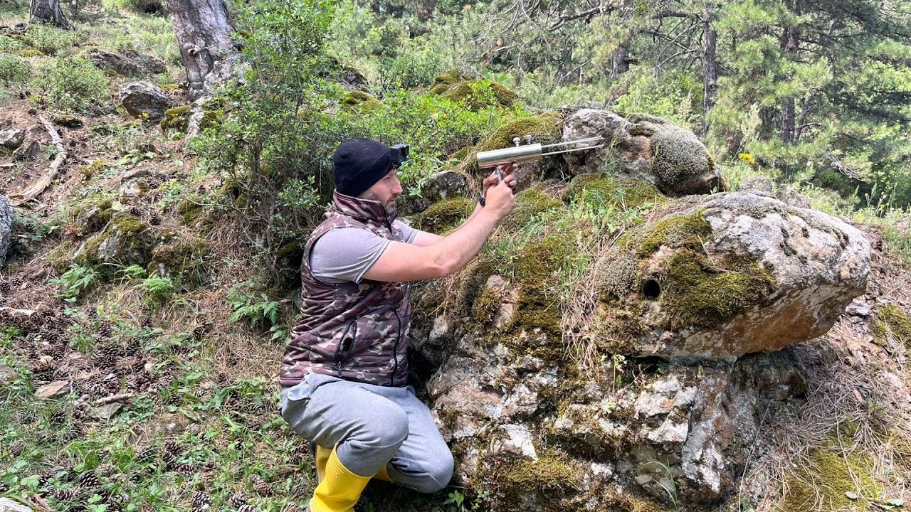 Я извлек чудесное сокровище из большой черепахи