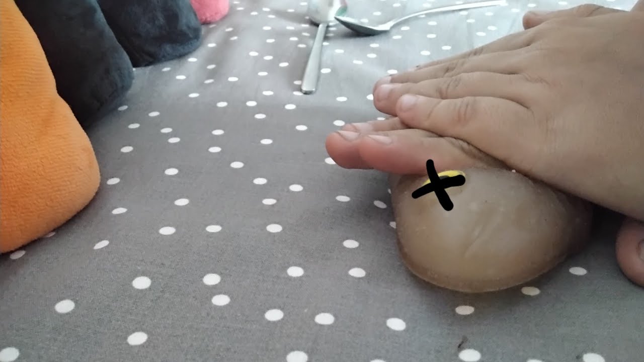 how to do CPR on fish