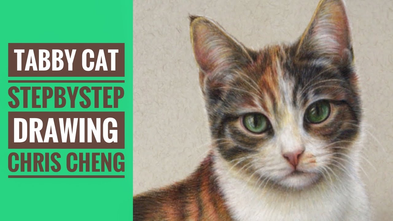 How to Color a Realistic CAT with Colored Pencils // Chris Cheng