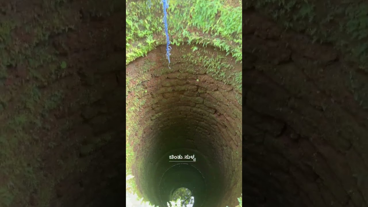 ಮೊದಲು ಹೊಳೆ ದಾಟಲು ಇದೇ ತರದ ಸೇತುವೆ ಇದ್ದದಲ್ವಾ.....