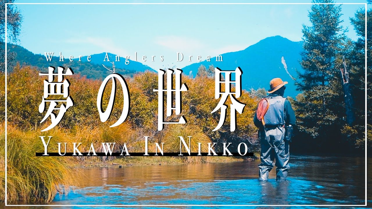 聖地で出会う渓流の宝石・ブルックトラウトを追う｜湯川｜TRAVERSE FISHING｜渓流釣り｜