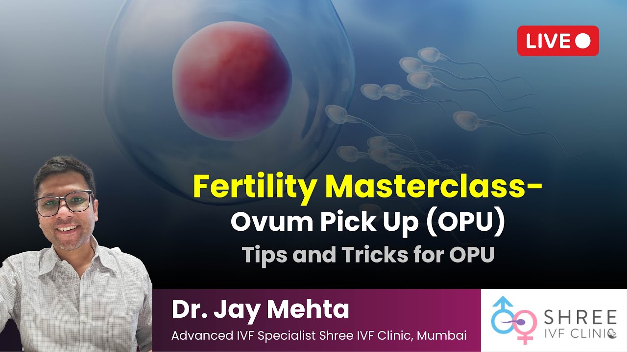 Fertility Masterclass 22 - Ovum Pick Up (OPU) | Tips and Tricks for OPU