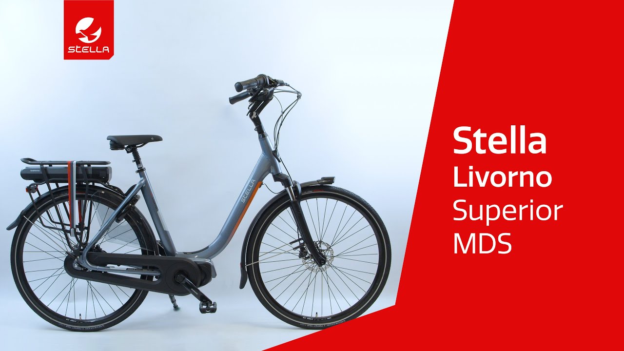 Stella Livorno Superior MDS