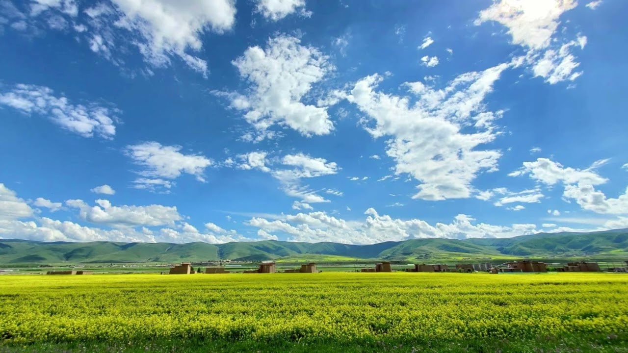小提琴冥想音樂- 靜心放鬆｜Violin Meditation - Relax & Calm