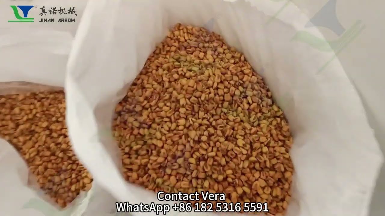 Automatic Fried Corn Nuts Processing Line Corn Nuts Frying and Seasoning Line