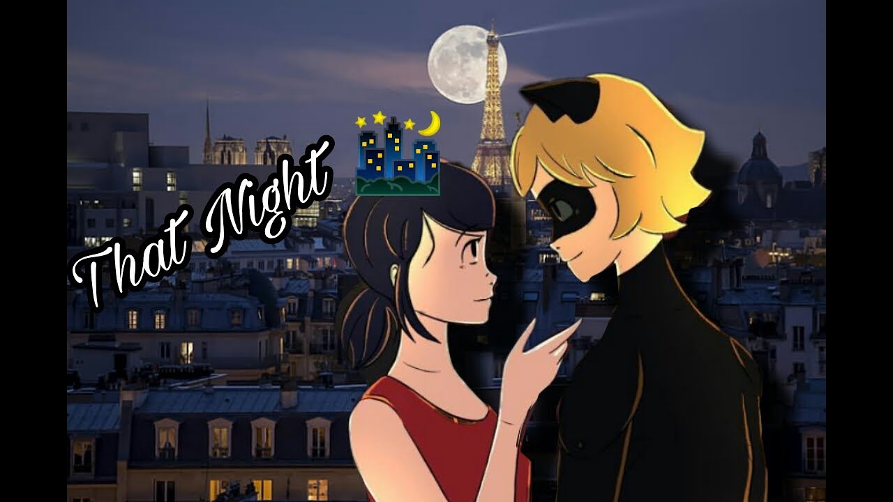 That Night 🌃 | Part 1 | A Maricat/Marichat texting story | Archi's Miraculous Tales ✨