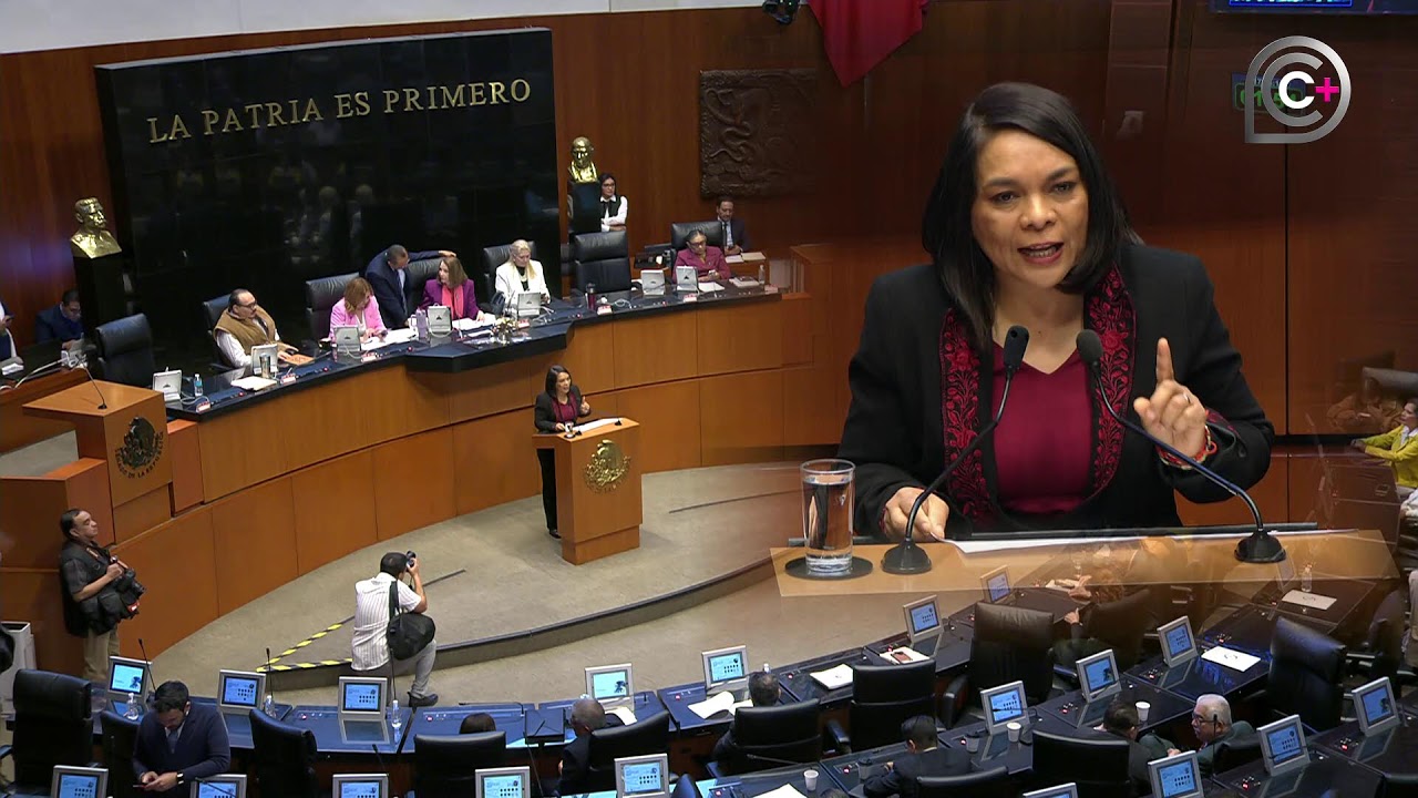 Sesi&oacute;n de la C&aacute;mara de Senadores, del 25 de marzo de 2026