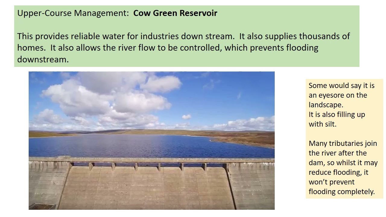 River Tees Management