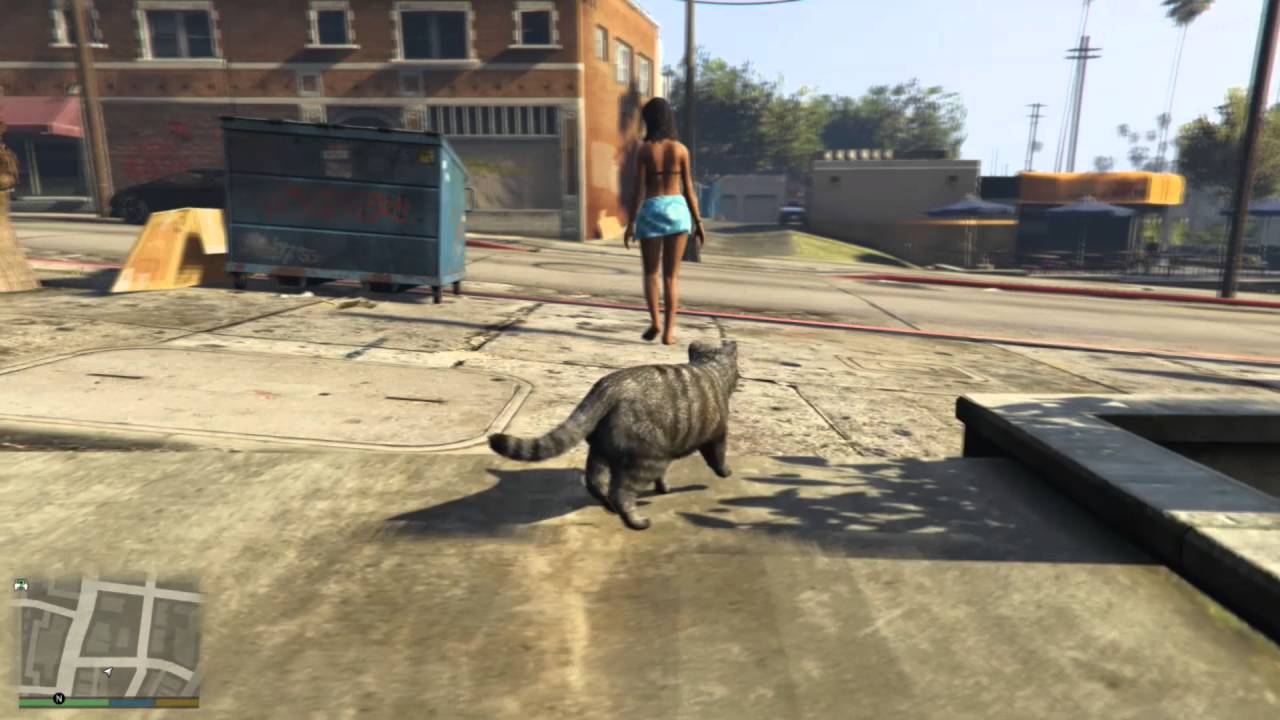 GTA 5 - A life of a Cat