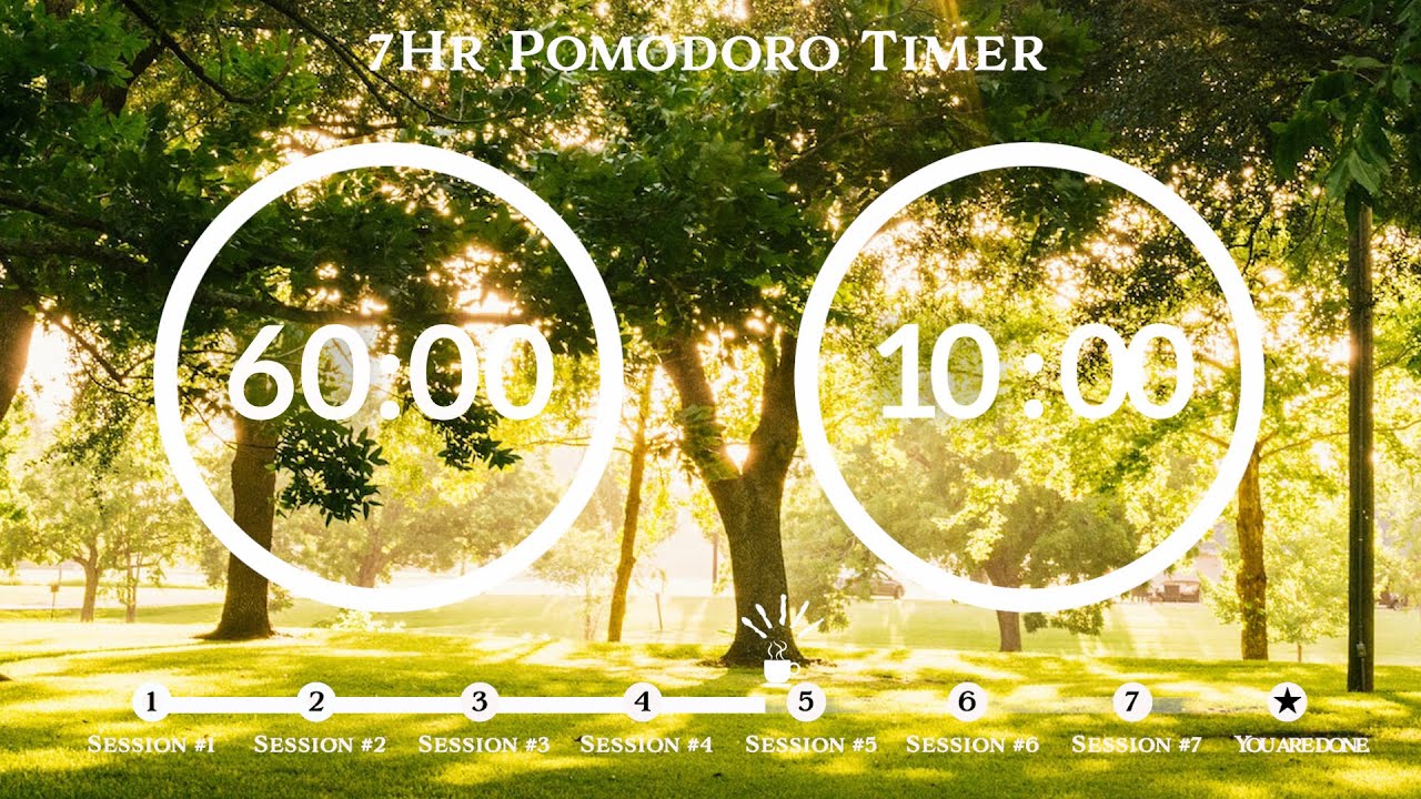 60 Minute Pomodoro Timer 🌿Sunny Forest & Focus Music 📚7-Hour Study ⏱Pomodoro 60/10, 60 min x 7 sets