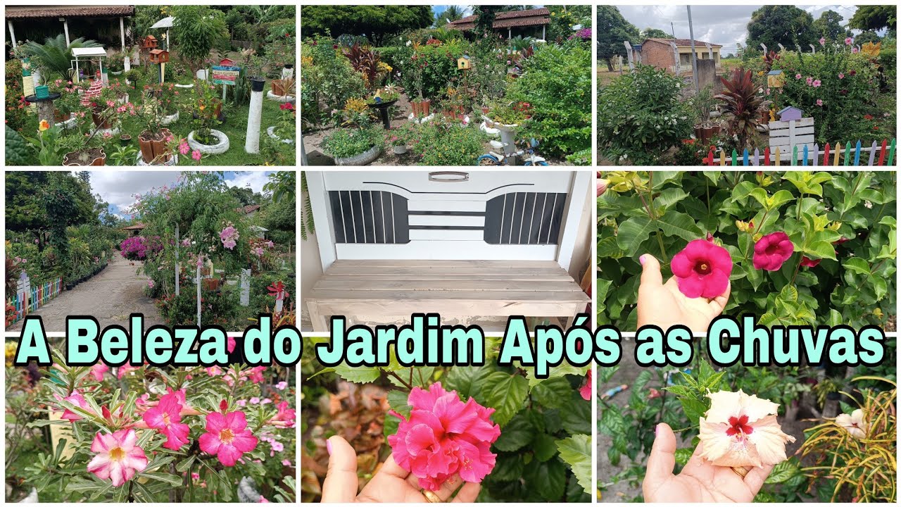 Meu lindo jardim como est&aacute; depois das chuvas 🌧️
