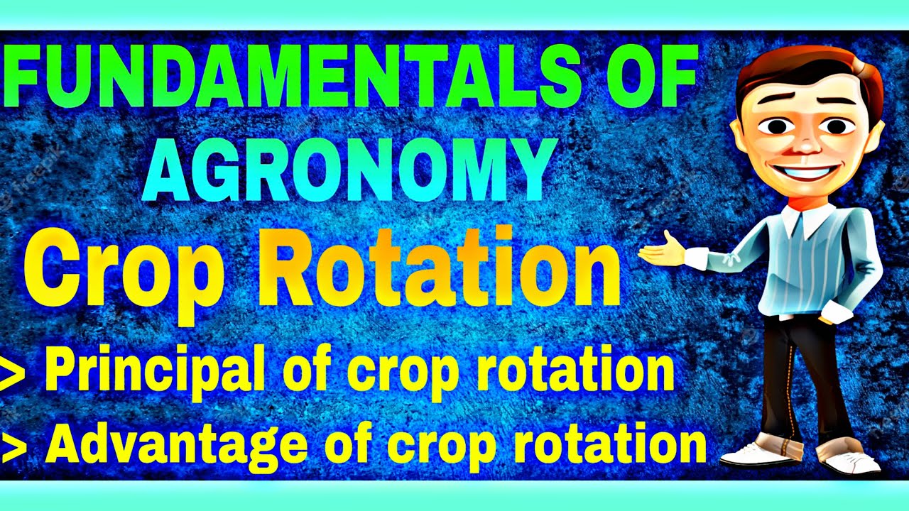 crop rotation and it's principal ||principal of crop rotation || crop rotation || Mayank Tripathi