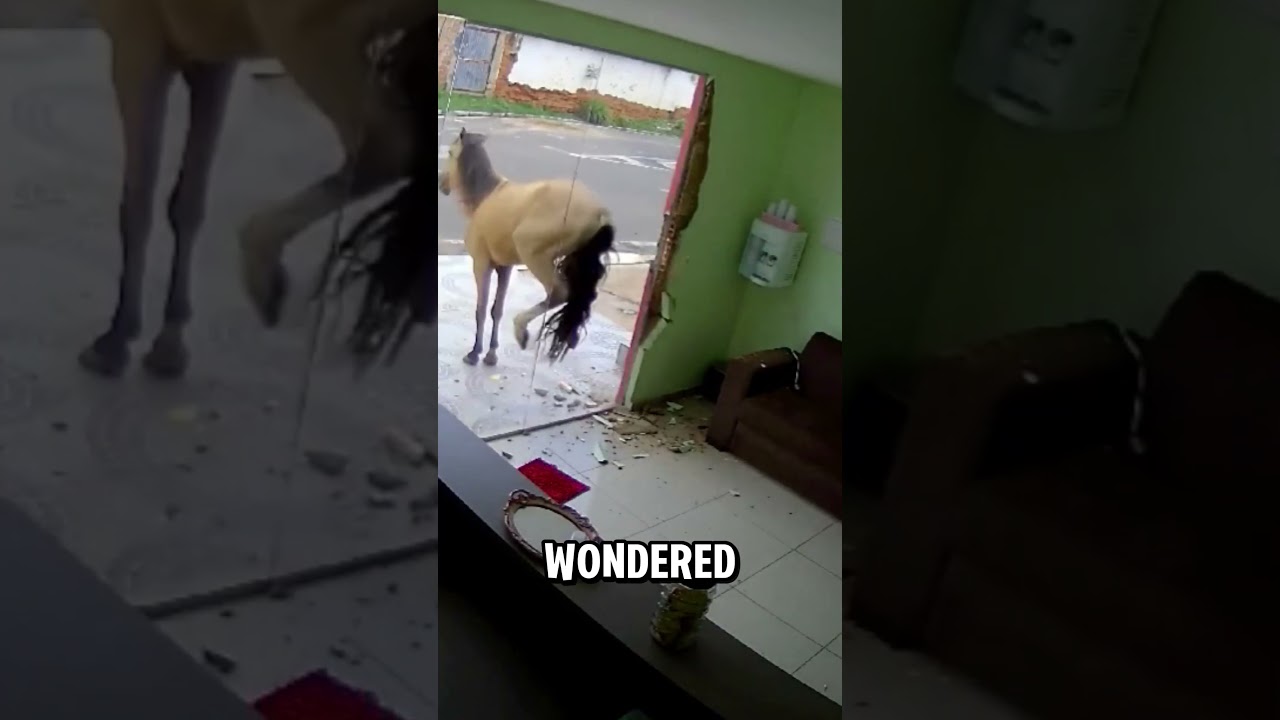 Why Doesn&rsquo;t Glass Break When a Horse Kicks It? #shorts
