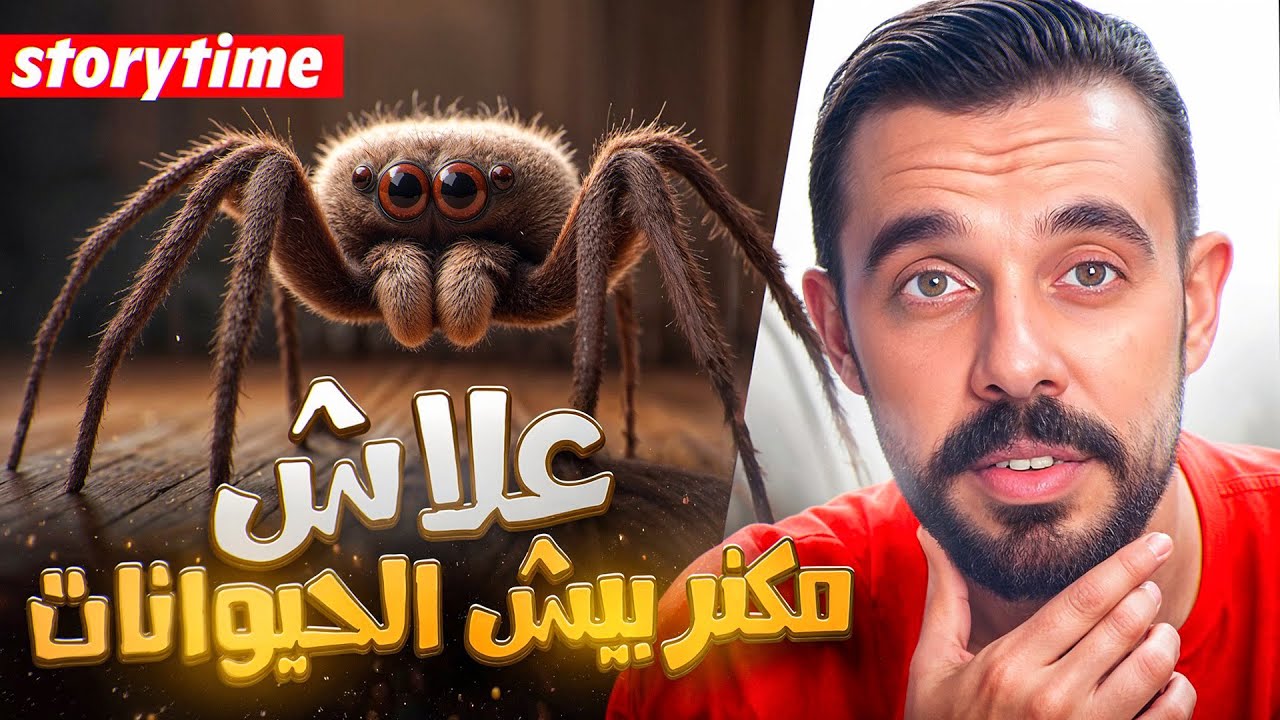 STORY TIME || علاقة الحب لي كنت عايش من عنكبوت 💕🕷️