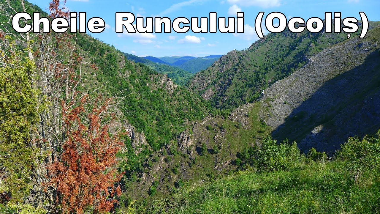 Cheile Runcului