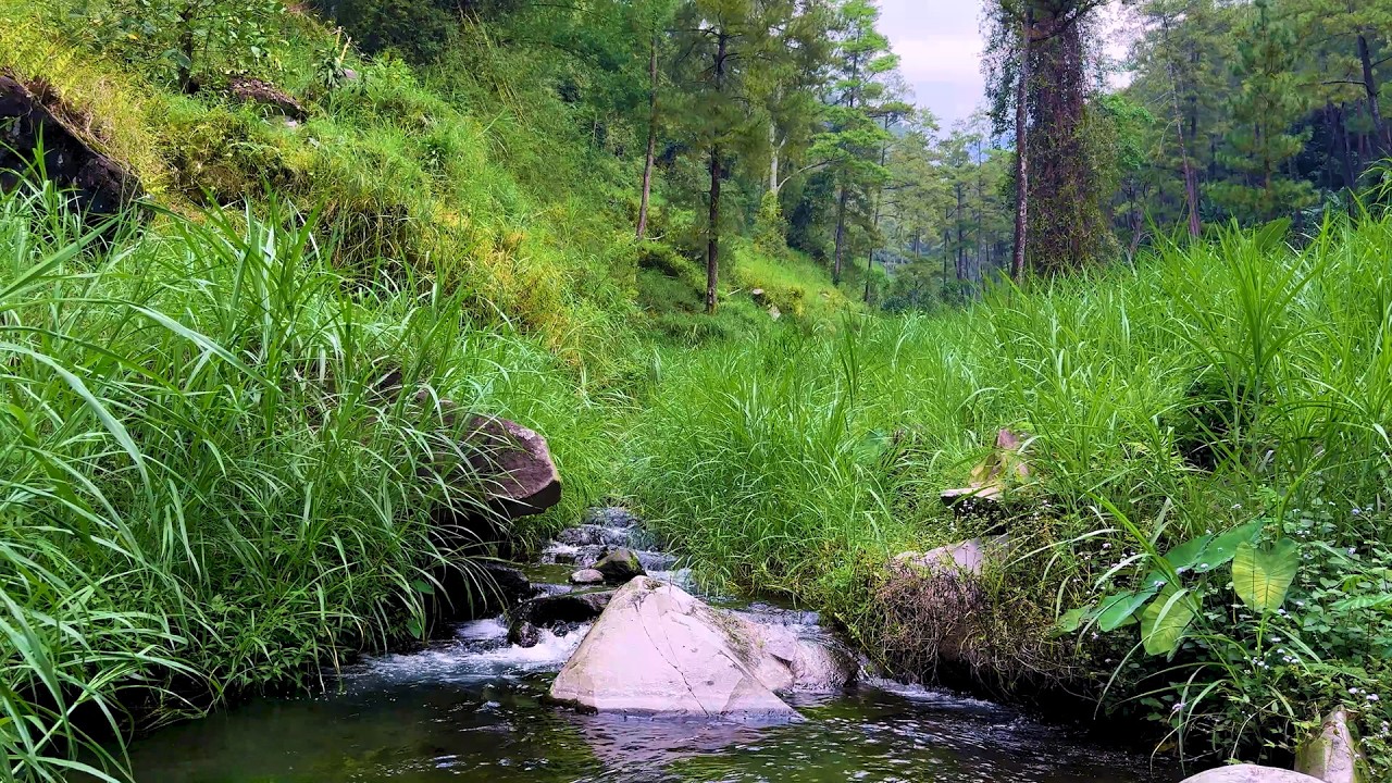 Relaxing Watersounds for Stress Relief and Improved Sleep Quality